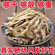 �����~��С�~�����~С�~��ëë���r��؛С���~���ԕ��L�ɝO��ԭζ