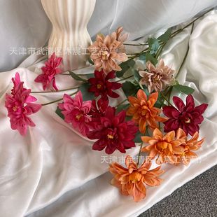 ��c���滨4�^�¿������ ������ ��Y�õ��ű������b���