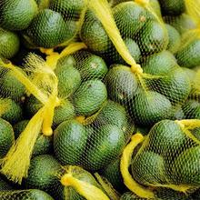 ����ţ�͹�6���b��� ���r�����ЋDˮ����������oʳ����