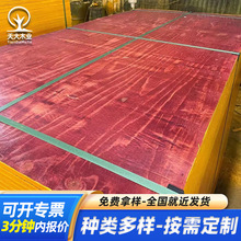 全桉木广西红板模板防水集装箱地板混凝土建筑用工地木板清水模板