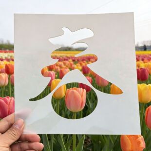 �����U��ģ�� �Ĕz���섓��diy���ﴺ����Ʒ�L���T�f�����ڱ�У�@