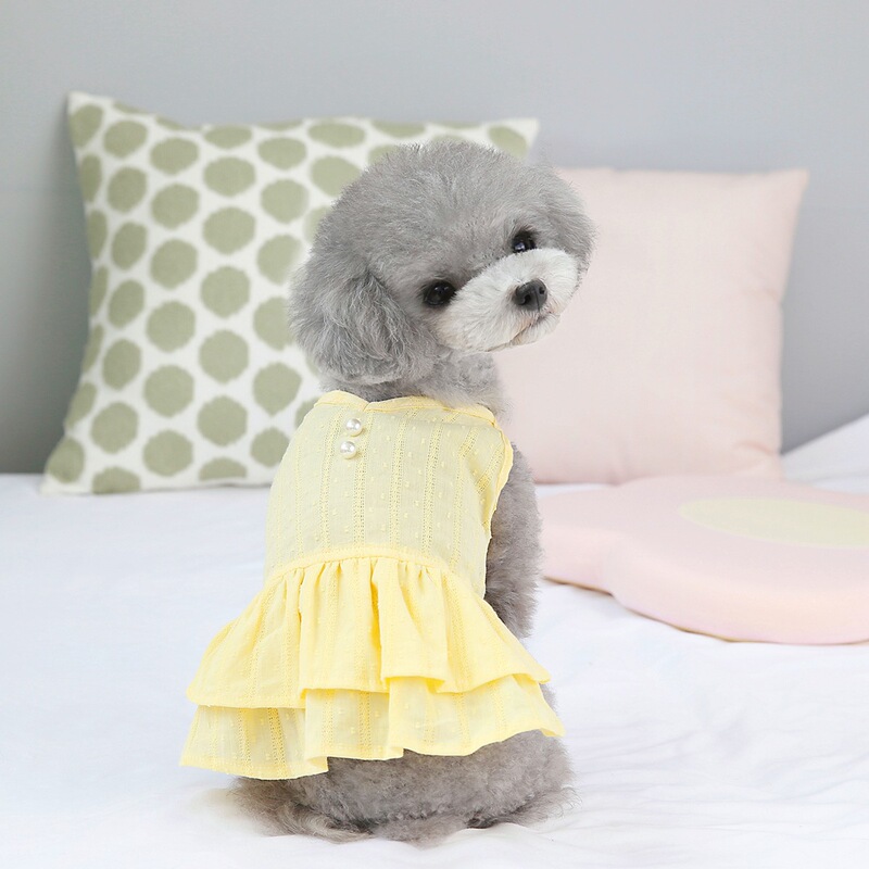 New Style Dress for Pets: Teddy, Corgi, Bichon, Schnauzer. Spring and Autumn Outfit for Small Dogs, Comfortable Princess Dress, Lightweight Version