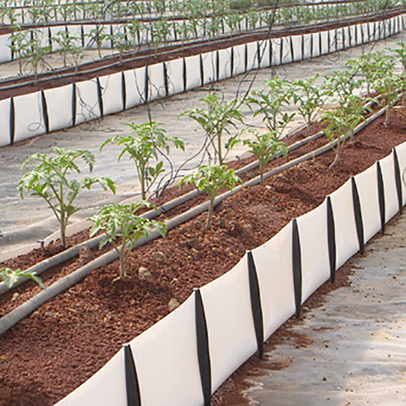 Полипропиленовый PP без почвы может заменить мешок для посадки