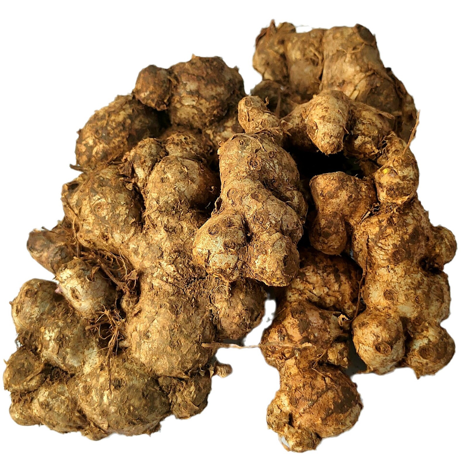 2024-12-26 15:36:22.jpg