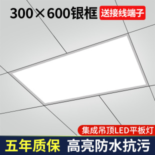 Kitchen Ceiling Light 30X60 Ceiling Aluminum Gusset Light Integrated Ceiling Light Panel Light Kitchen and Bathroom Light 300X600