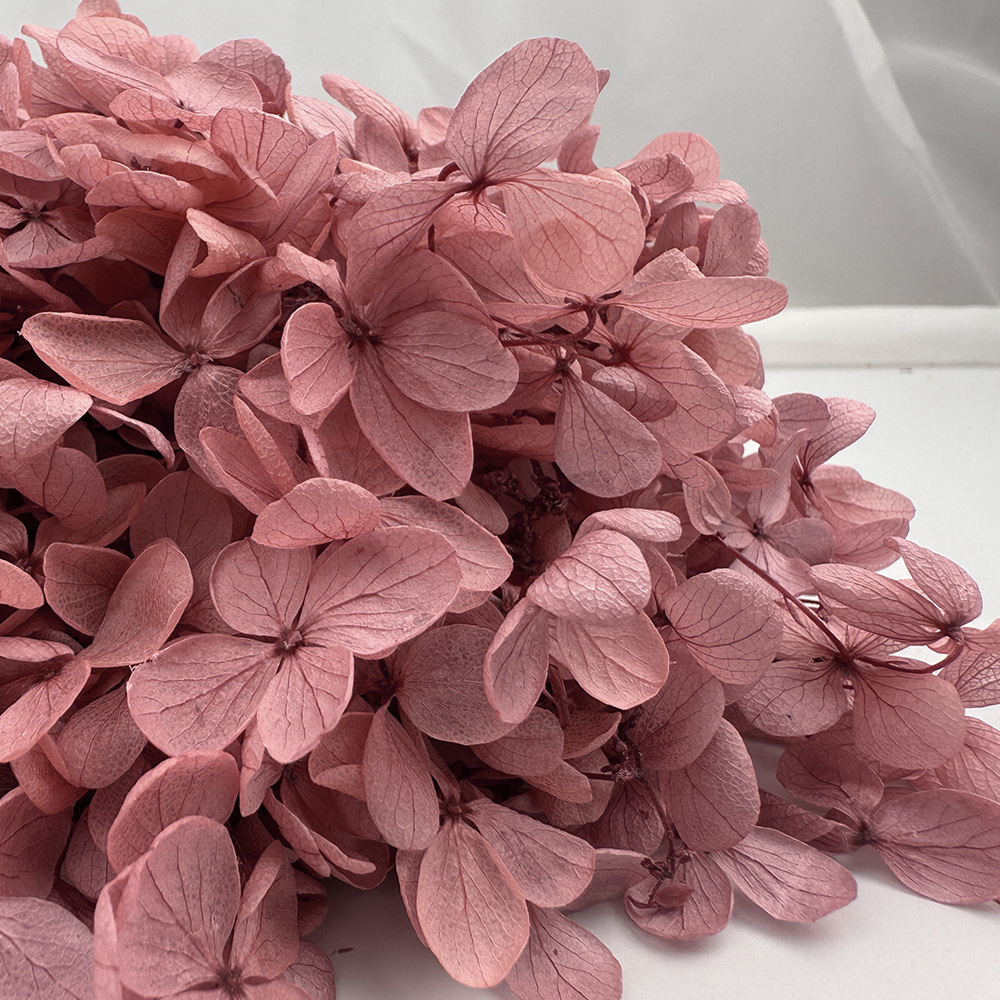 Flores de hortensia preservadas de calidad A+ del fabricante de Yunnan, flores preservadas en caja de 20g.