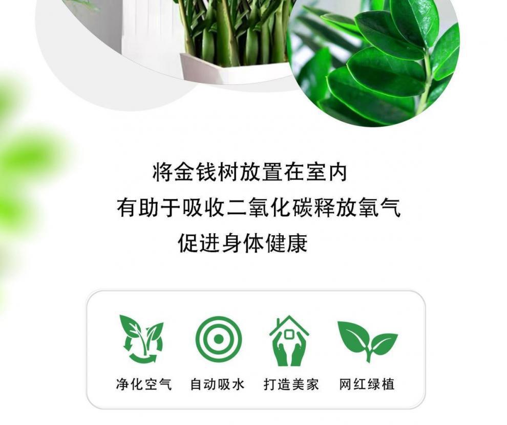 d863ee20-4104-4919-b0a7-80a352bf5cea.jpe