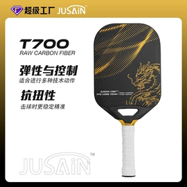 其他球类用品;匹克球拍;羽毛球拍