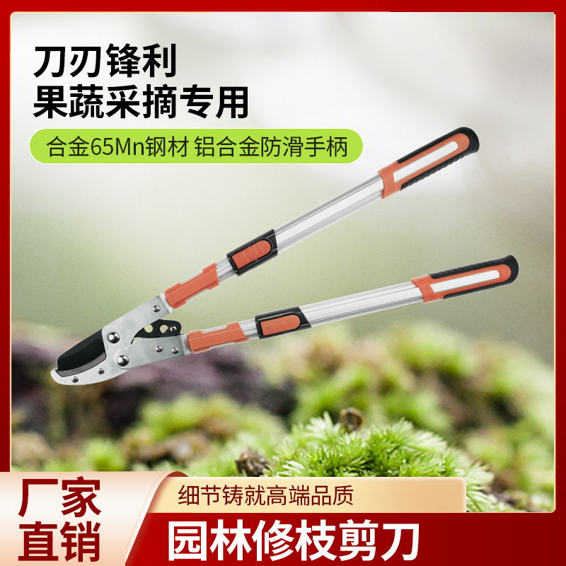 剪树枝专用剪刀修枝剪果树修枝修剪树枝园艺剪刀花艺剪枝花剪园林