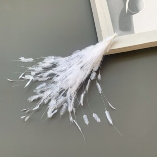 �F؛10-15CM���z�r�Bë�z���b��Y�������r�B��ëDIY�Ʒ�o��