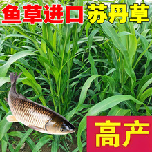 �~�ݷN���ļ��K���ݷN�Ѹ߮a���ݷN�Ӹߵ����ݲ��Nι�u����ţ�Z��