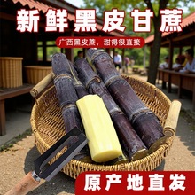 广西黑皮甘蔗新鲜脆甜多汁整箱包邮脆甜多汁应当季甘蔗一件代发