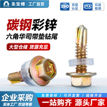 ̼䓲��\���Ƿ��m���Թ��ݽz��β�Թ������A˾�β����������