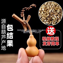 ���J��С���J�N�������������ˌ���ȫ�����^�p�ش�̖���ͺ�������