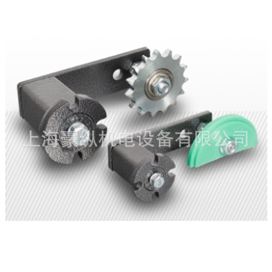 现货 意大利泰尼达链条自动张紧器  进口链条张紧装置  RE60