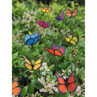 D 49599 3D double layer butterfly garden decor 3D �p�ӷ����