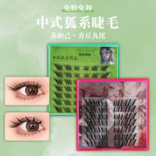 �N���Ž���ʽ��ϵ�ٽ�ë�K槼����z�۽�ë�����������۾�β����ë