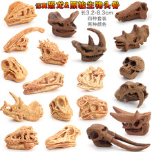 仿真考古挖掘远古恐龙化石头骨模型玩具剑齿虎霸王龙科教认知教育