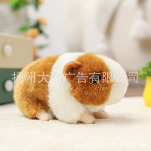 �羳��Ʒ������m�i���������a���lë�q��ߺ������նY��