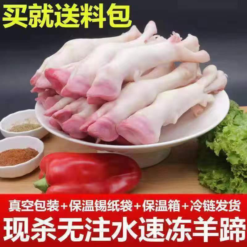 羊蹄子新鲜现杀冷冻生羊蹄带筋小羊蹄羊脚散养羊爪羊肉可整箱批发