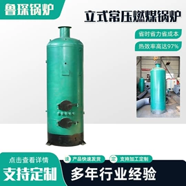 蒸汽发生器;燃煤锅炉;不脱硫除尘