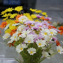 insʾշ滨СrռٻϻՔzӰ߼Ҿb[