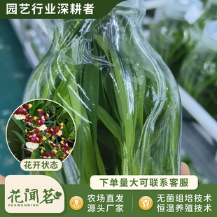 �л������m 0816 ��ɫ��ˮƿ��M�����״���҃������Ի�������r
