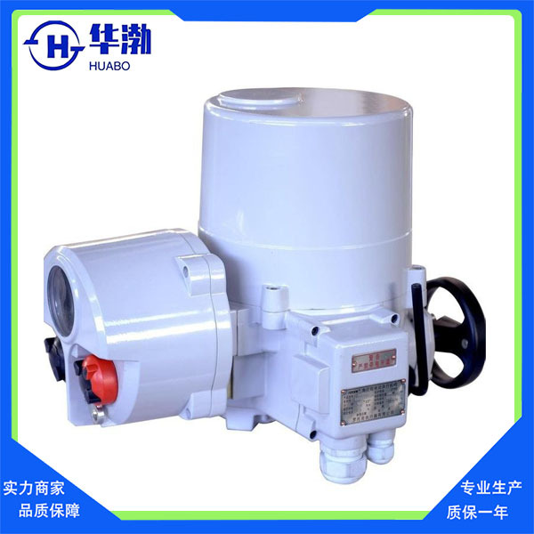 罗托克阀门电动装置代理罗托克 国产罗托克 智能开关量调节型电装