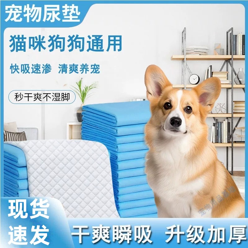 宠物尿垫尿片一次性狗狗隔尿垫加厚竹炭背胶吸水尿不湿尿布批发