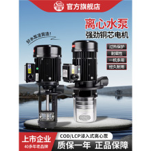 CODؙCLCPӹs߉ʽ༉ʽxˮ