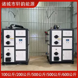 蒸汽发生器;燃生物质锅炉