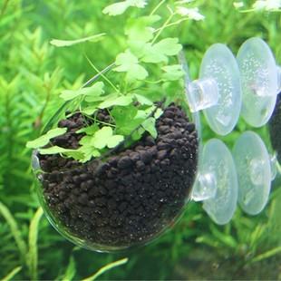 Aquarium supplies grass pot landscape basin water plants feeding landscape cup water plants cup water plants planting Cup