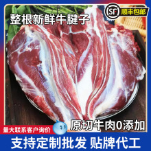 原切新鲜牛腱子 农家散养黄牛肉腱子源头厂家定制批发饭店供应