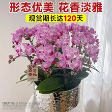 �����m���Ԏ��������玧�����m�������ļ����B�����͏d�҃�ֲ��