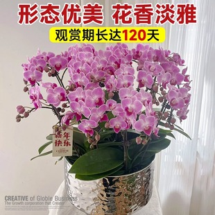 �����m���Ԏ��������玧�����m�������ļ����B�����͏d�҃�ֲ��