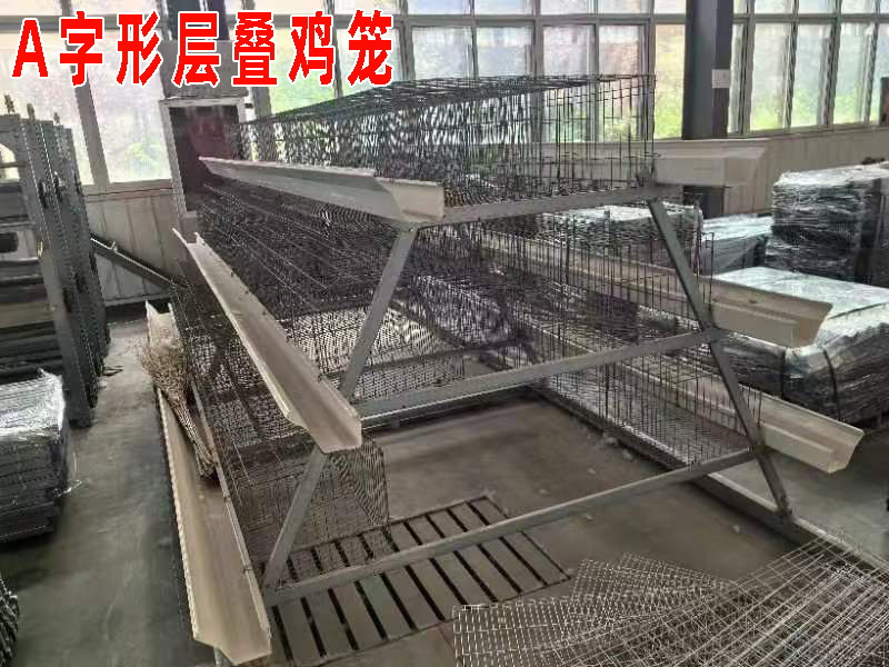 A字形雞籠1