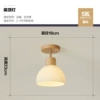 Rogue -colored single head 18cm warm light