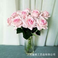 ins汣õ廨ָ֧СõcþƵҾbS