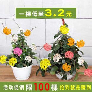 ���m������]�������_�󻨻��҃�����ϲꎾG�~ֲ�����Ե��m������