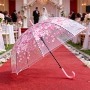 防雨遮阳婚礼小清新太阳伞