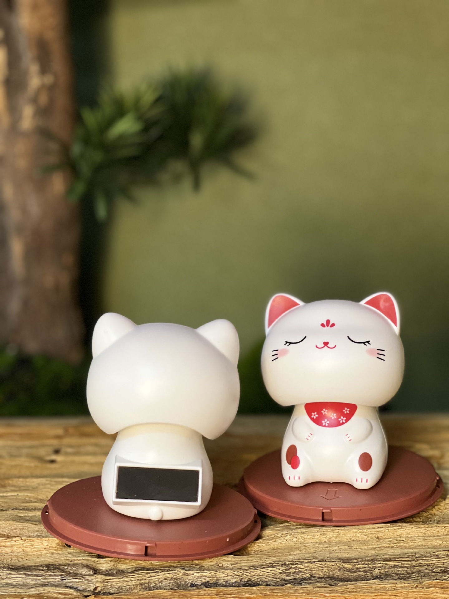 QQ图片20220524173433