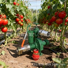 �@��ֲ�䝲�؇�ˮ�����ù�ˮ��Ȳ��͙C늙C�߉���