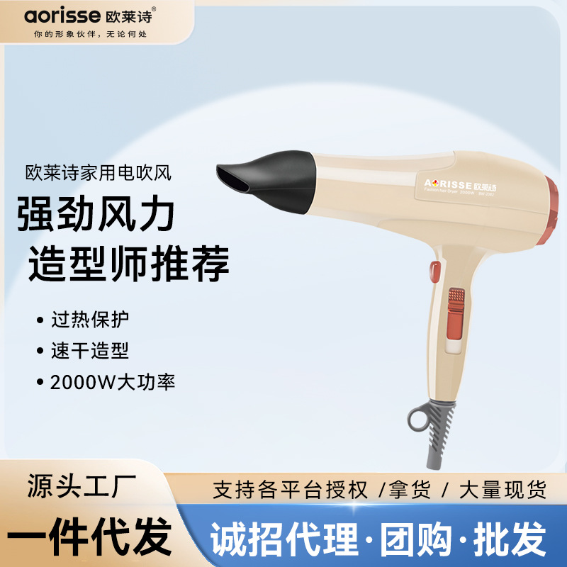 2000W high-power constant temperature hair care quick-drying professional hair dryer barber shop hair salon high-speed hair dryer