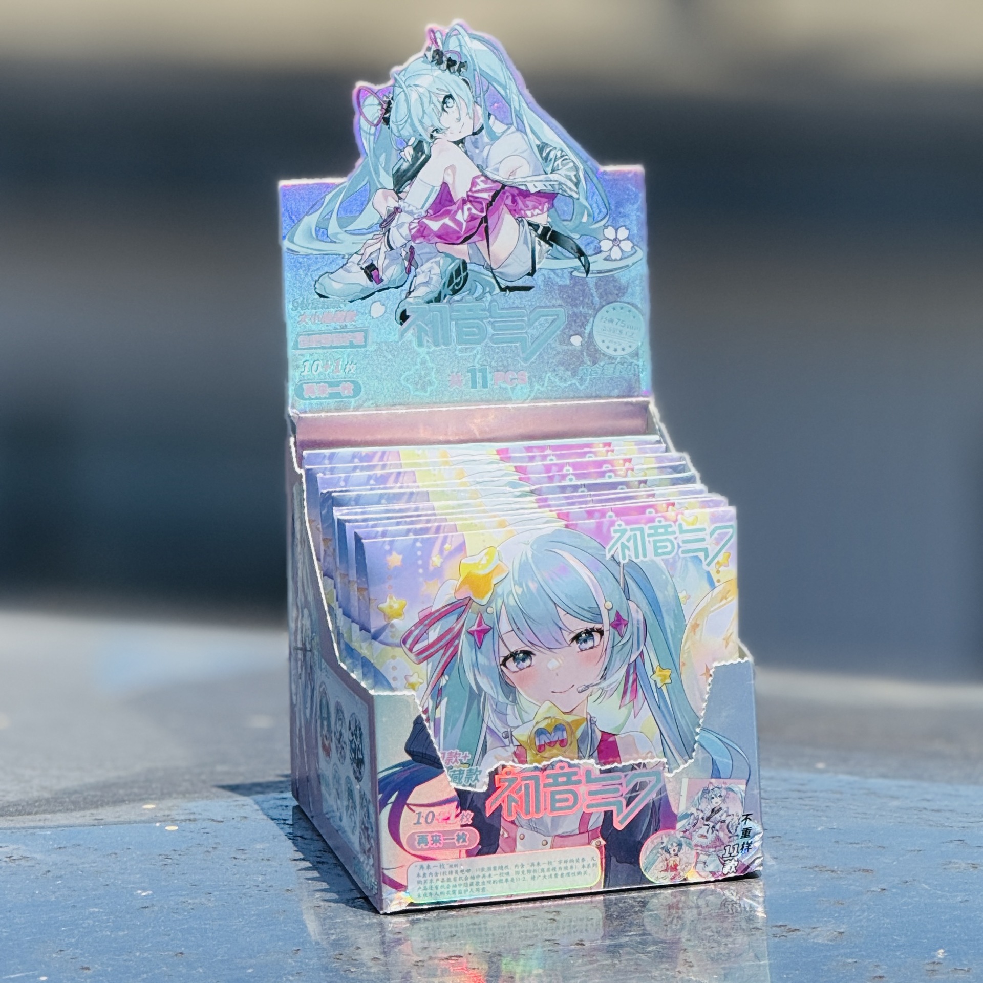 2010 하츠네 미쿠(10발 11발)