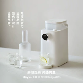 电饭煲/锅;养生壶;电火锅