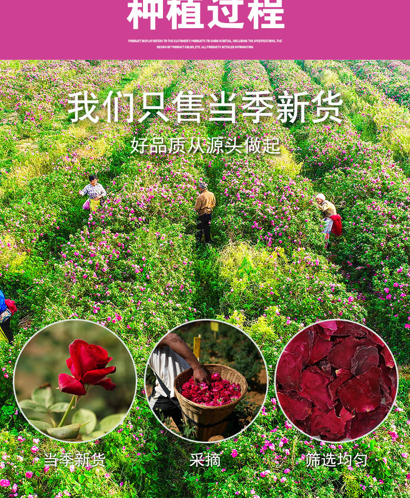 Mo Hong Rose Petals (Rosa spp.) — Edible Dried Rose Petals, Sulfur-Free, 500g Bulk preparation