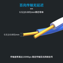 ���� DS-1LN5E-S/E�҃ȳ���W���o���~�侀CAT5e����ξW�ׄ�