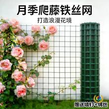 �¼����پW�����F�z�W���ܾW����Nޱ���F��ɏ����ֲ�������W