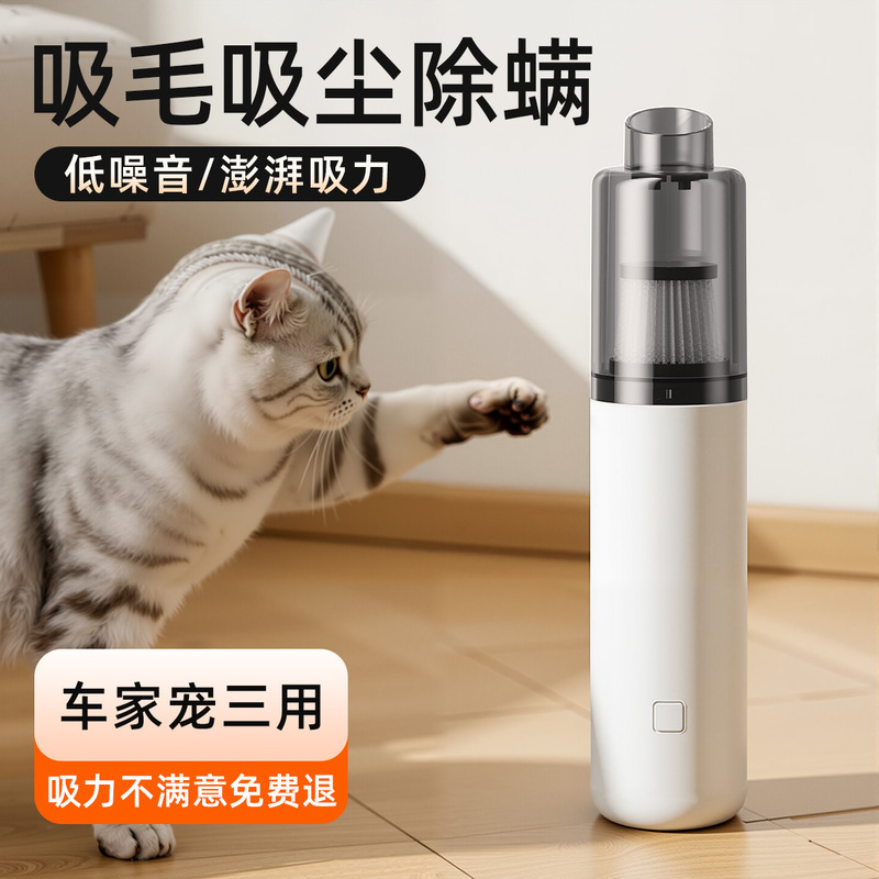 Handheld Wireless Car Vacuum Cleaner Suction and Blowing Integrated Home and Car Dual-purpose Multi-function Super High Power Suction Dust Blower