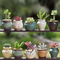 植木鉢の小さい新商品の缶のアイデアの磁器の缶の多い陶磁器の肉のミニ陶のレトロな家庭の陶磁器のたらいの園芸の太い新しいです。